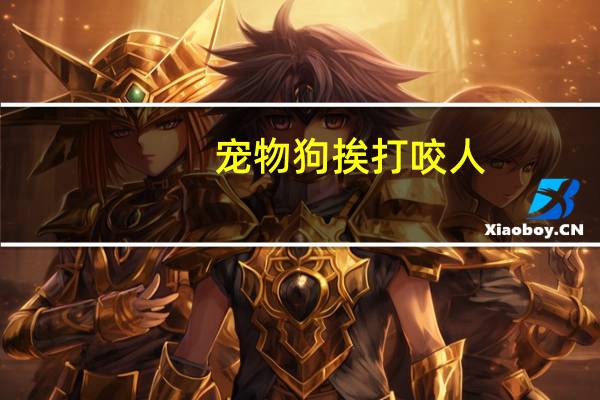 宠物狗挨打咬人