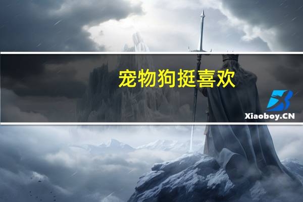 宠物狗挺喜欢