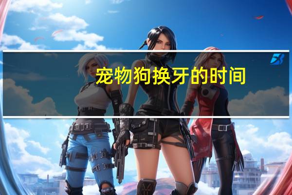 宠物狗换牙的时间