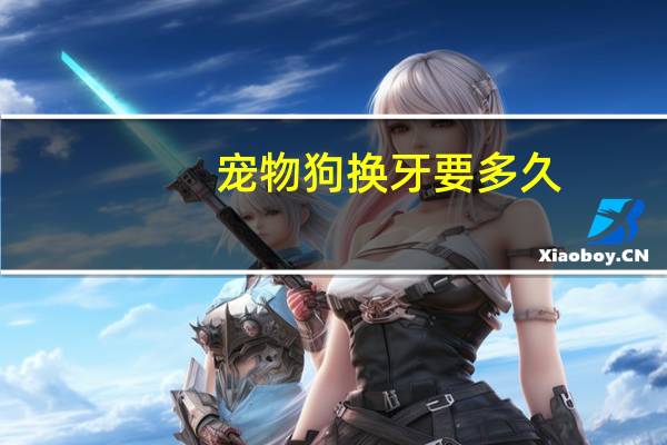 宠物狗换牙要多久