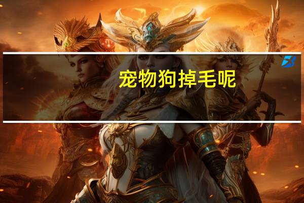 宠物狗掉毛呢