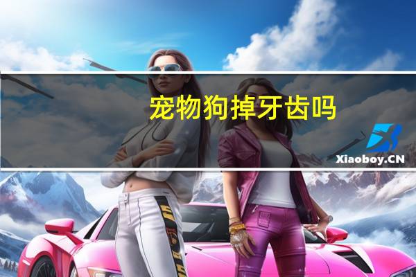 宠物狗掉牙齿吗