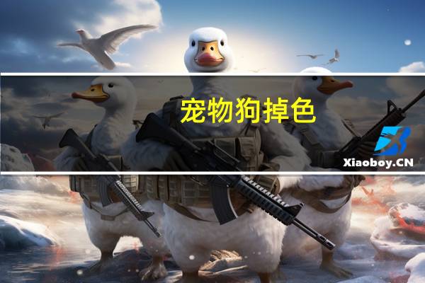 宠物狗掉色