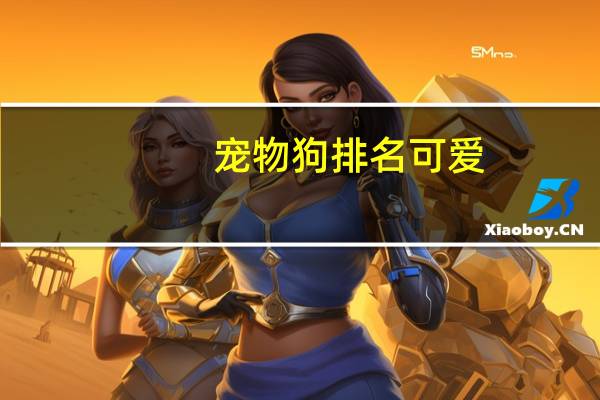宠物狗排名可爱