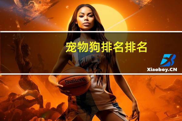 宠物狗排名排名