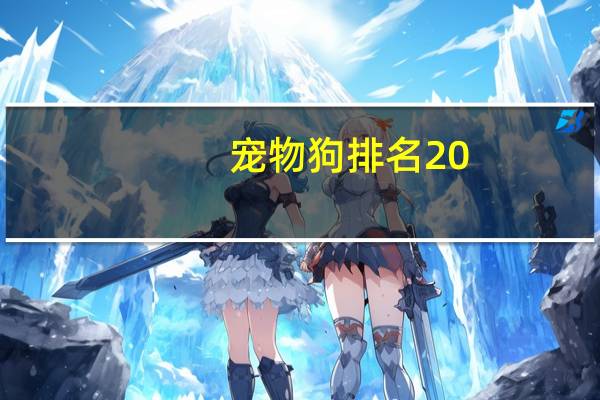 宠物狗排名20
