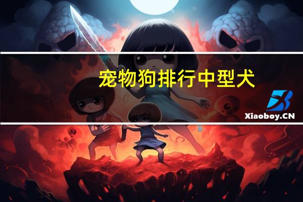 宠物狗排行中型犬