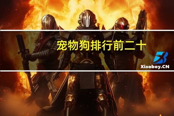 宠物狗排行前二十