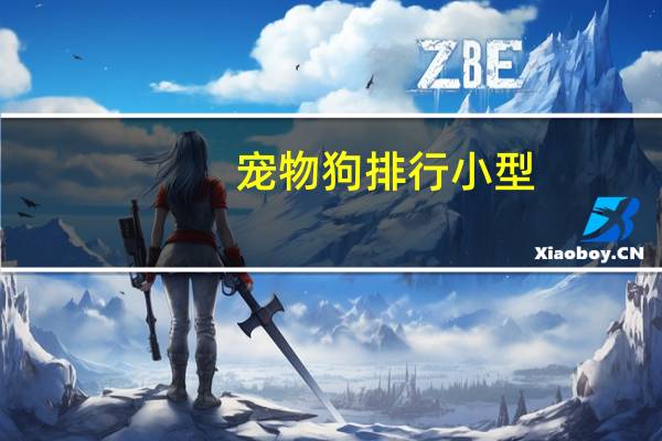 宠物狗排行小型