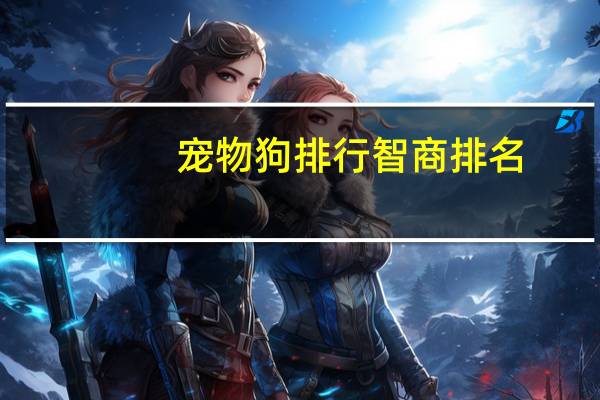 宠物狗排行智商排名