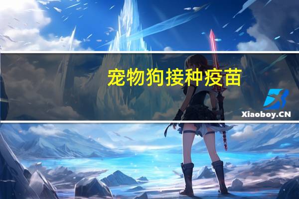 宠物狗接种疫苗