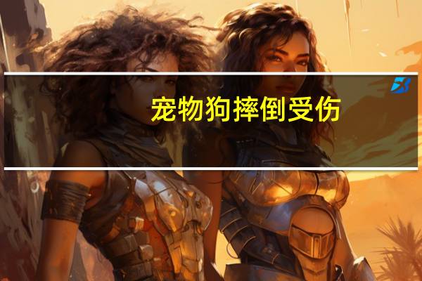 宠物狗摔倒受伤