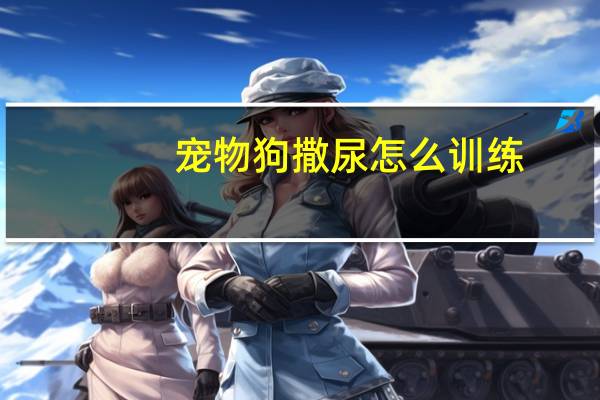 宠物狗撒尿怎么训练