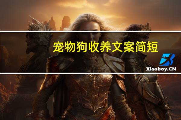 宠物狗收养文案简短