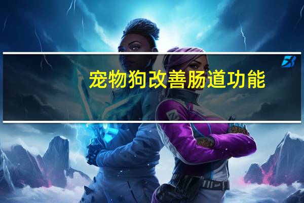 宠物狗改善肠道功能