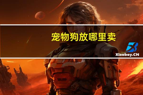 宠物狗放哪里卖