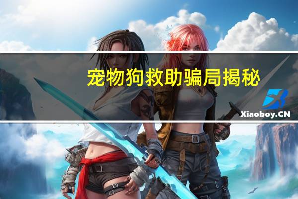 宠物狗救助骗局揭秘