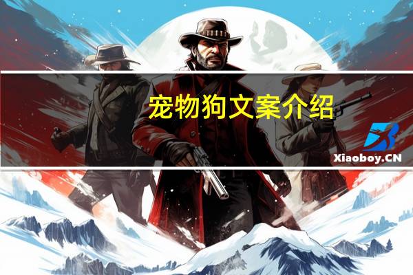 宠物狗文案介绍
