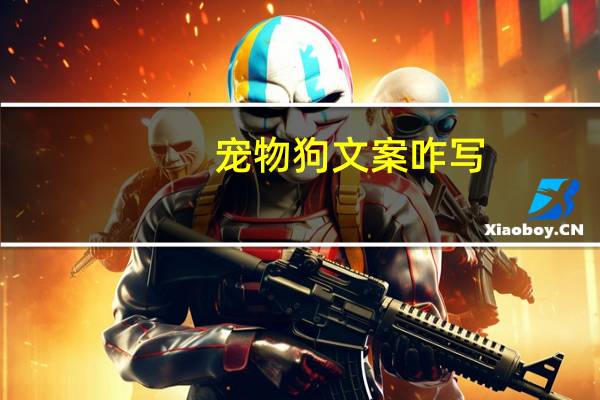 宠物狗文案咋写