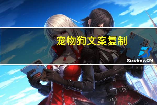 宠物狗文案复制