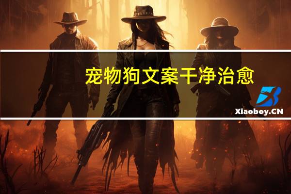 宠物狗文案干净治愈