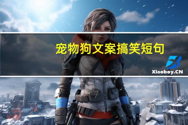 宠物狗文案搞笑短句