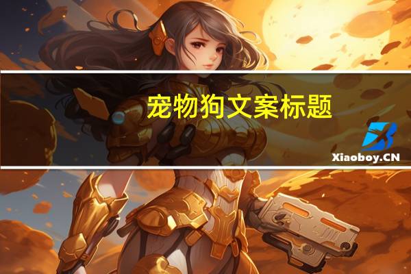 宠物狗文案标题