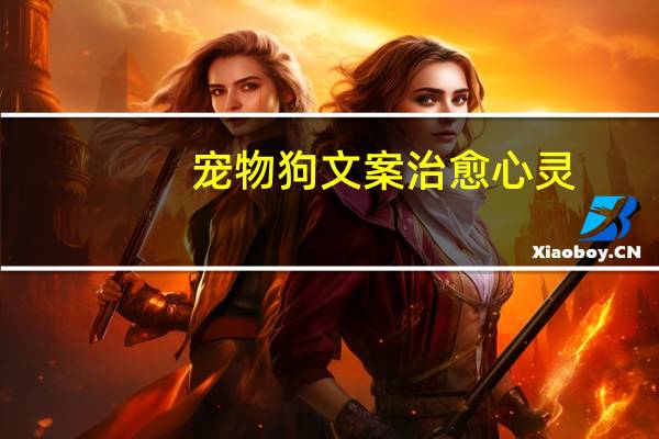 宠物狗文案治愈心灵