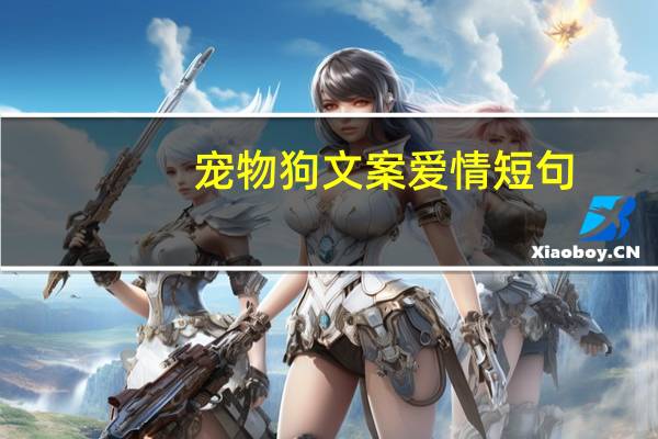 宠物狗文案爱情短句