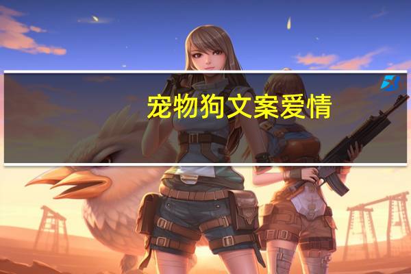 宠物狗文案爱情