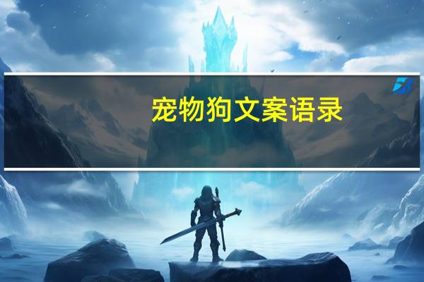 宠物狗文案语录