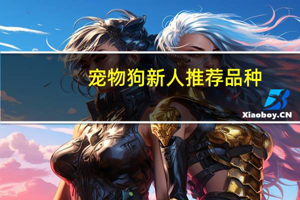 宠物狗新人推荐品种