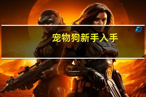 宠物狗新手入手
