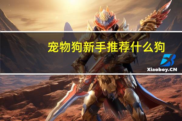 宠物狗新手推荐什么狗