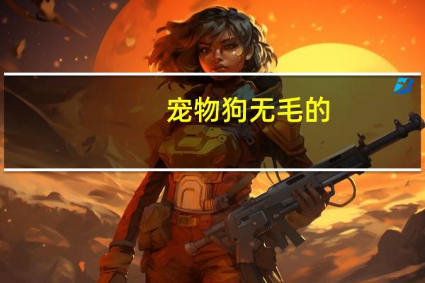 宠物狗无毛的