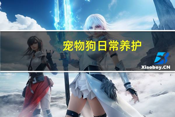 宠物狗日常养护