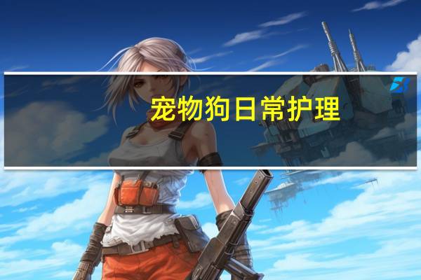 宠物狗日常护理