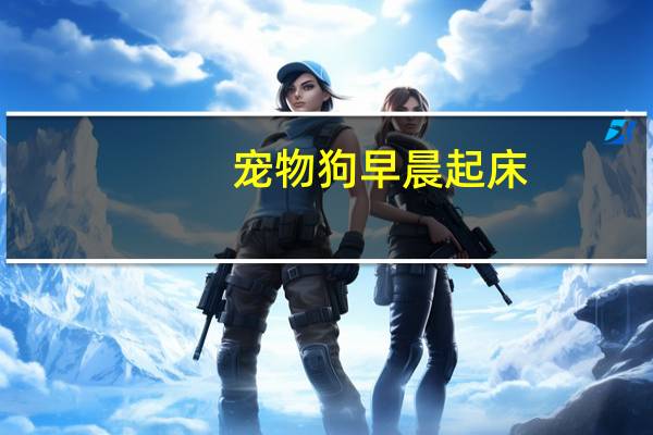 宠物狗早晨起床