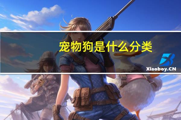 宠物狗是什么分类
