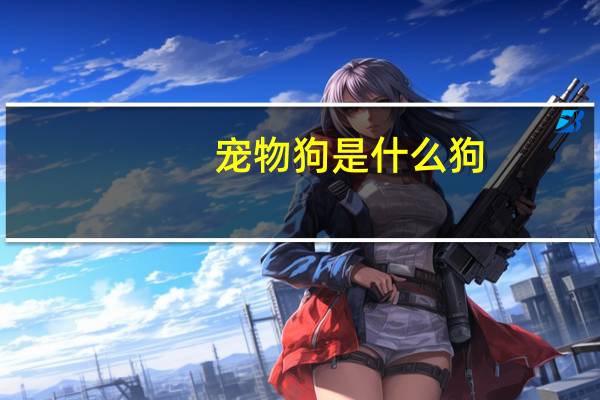 宠物狗是什么狗