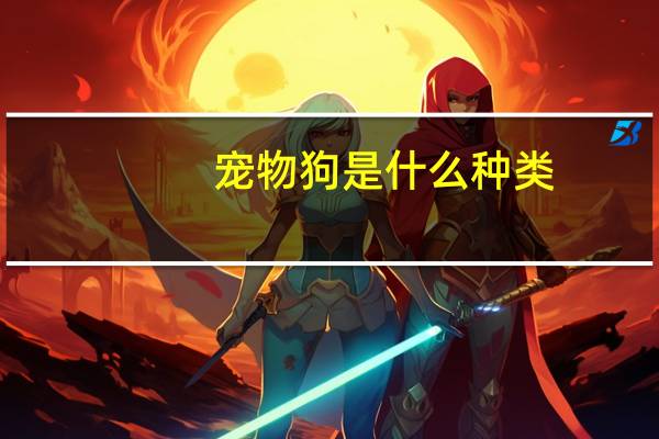 宠物狗是什么种类