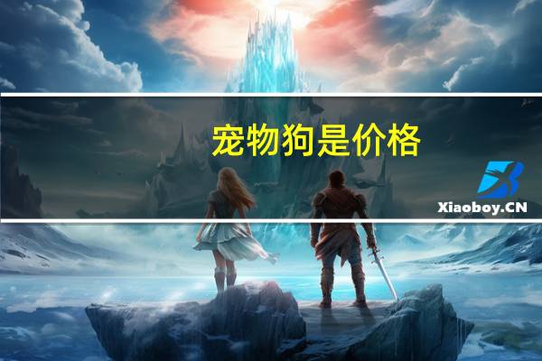 宠物狗是价格