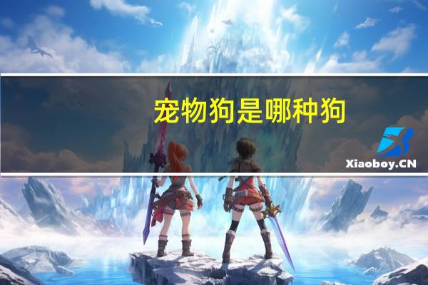 宠物狗是哪种狗