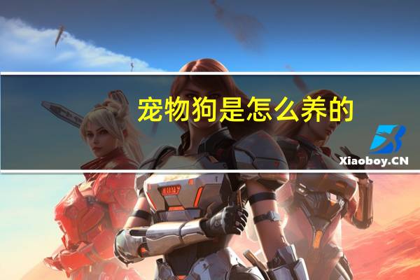 宠物狗是怎么养的