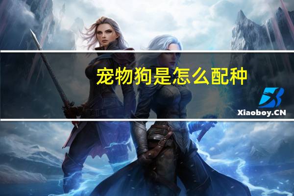 宠物狗是怎么配种