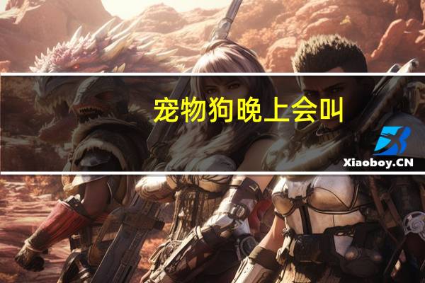 宠物狗晚上会叫