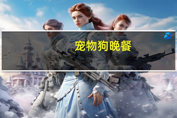 宠物狗晚餐