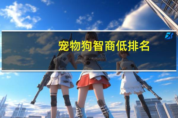 宠物狗智商低排名
