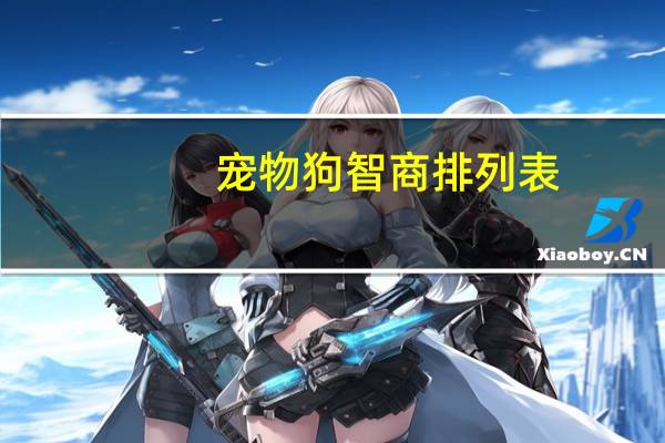 宠物狗智商排列表