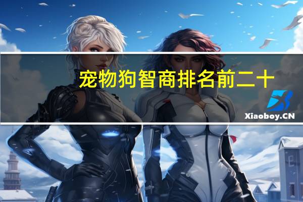 宠物狗智商排名前二十